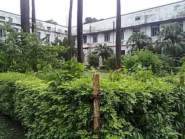 Bihar National College Patna Campus photo 2